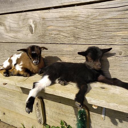 Bed and Breakfast A La Campagne, Au Calme Monterolier Zewnętrze zdjęcie