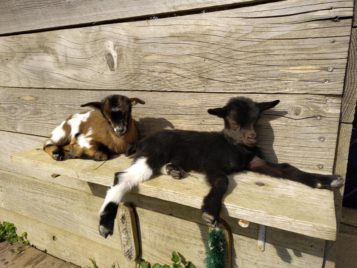 Bed and Breakfast A La Campagne, Au Calme Monterolier Zewnętrze zdjęcie