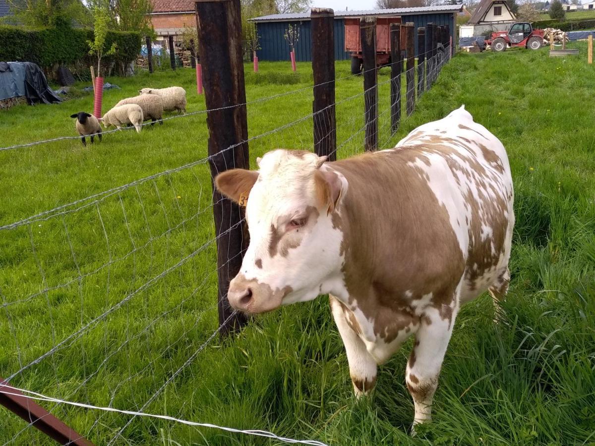 Bed and Breakfast A La Campagne, Au Calme Monterolier Zewnętrze zdjęcie